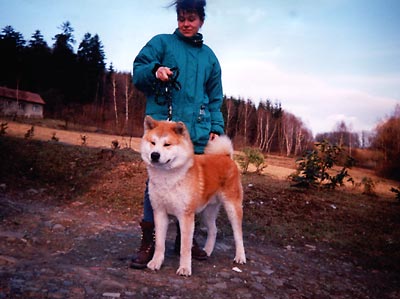 ATO Kumade - kliknut�m si obr�zek zv�t��te!