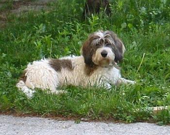 Kofino z Mimo�sk� podkovy