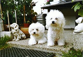 ALISSA B�l� mil��ek