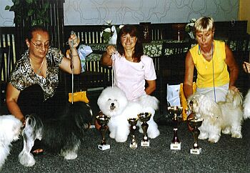 V1, CAC - CVP Ko�ice