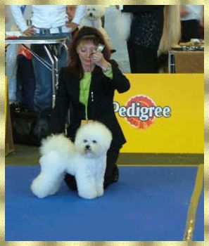 Petit Ami�s Viking