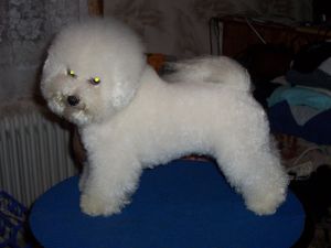 ENYA MEGMAJ z Podchotuc�