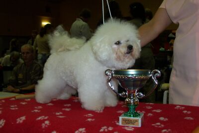 GINGER MEGBL Z PODCHOTOUC�