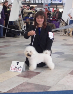 TAMINO GIMAJ z Podchotuc�