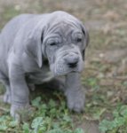 �t��ata 6 t�dn�