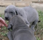 �t��ata 6 t�dn�