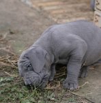 �t��ata 6 t�dn�