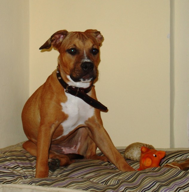 To jsou moje hra�ky !