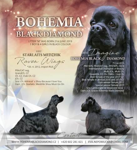 Americk� kokr�pan�l - �t���tka s PP