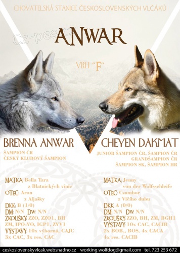 �eskoslovensk� vl��k - �t��ata s PP