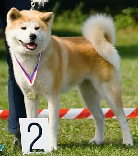 Minamoto Kensha bere záznamy Minamoto Kensha bere záznamy