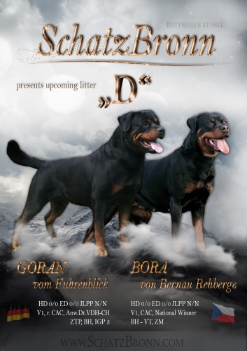 �t��ata rotvajlera s PP - Rottweiler (RTW) - �t�n�