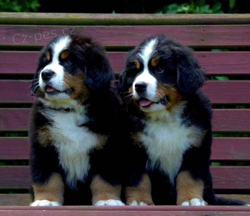 �t��ata svat�ho dostupn�