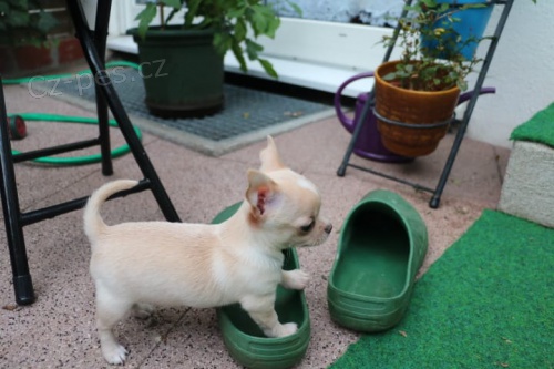 2 �t��ata civava zoufale tou�� po nov�ch rodi��ch