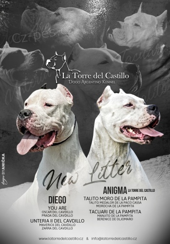 �t���tka argentinsk� dogy s PP