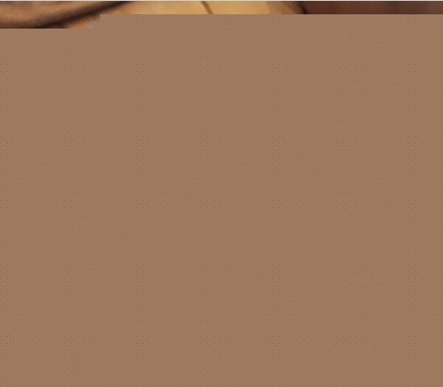 Sibi�sk� husky jsou p�ipraveny k adopci.