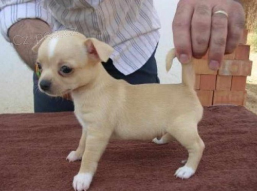 mini �ivava/mini �ivava/mini �ivava