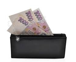 Rychl� a seri�zn� online p�j�ka