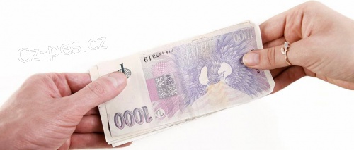 seriózní a zajištěná  nabídka půjčky  seriózní a zajištěná  nabídka půjčky