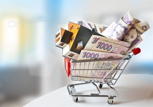 Dostali jste se do �patn� finan�n� situace? M��eme pomoci!