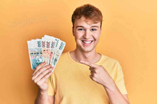 P�j�ky do 24h pro celou �R.