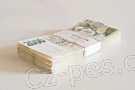 Seriózní a rychlá soukromá půjčka Seriózní a rychlá soukromá půjčka