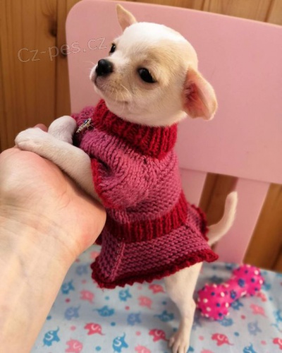 Prod�m �T��ATA mini �ivava