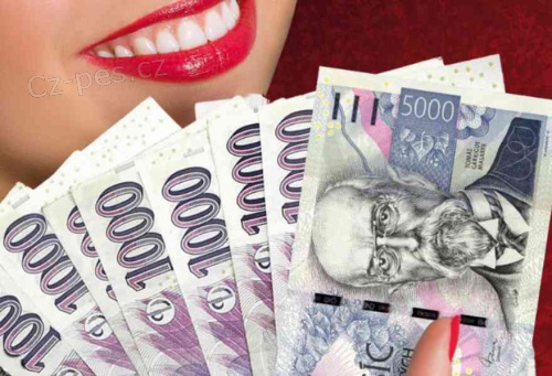 Nab�dka rychl� p�j�ky