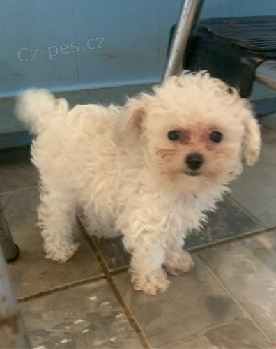 pudl, hra�ka pro �t�n�