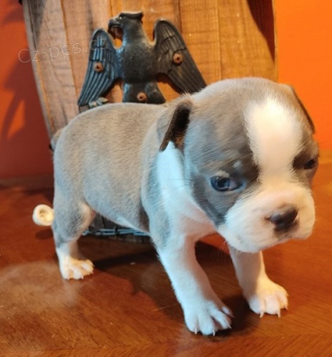 �t��ata hrani�n� teri�ra