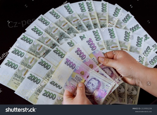 Rychl� a urgentn� p�j�ka do 24 hodin