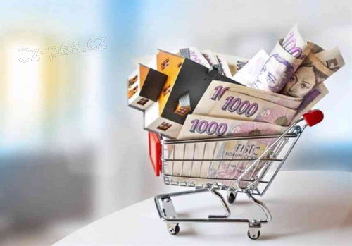 Opravdu potrebujete pujcku? Ovlivnuje v�s ekonomika?