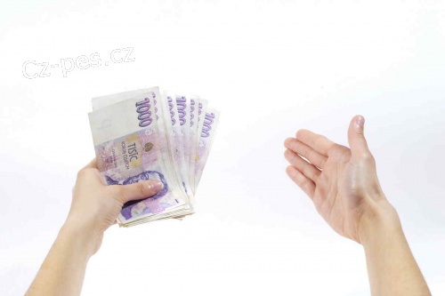 P�j�ujeme i bez registrace.