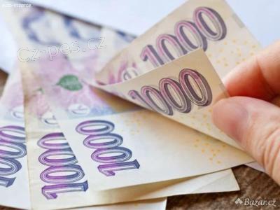 BEZPLATN PJKA NA CEL IVOT