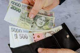 Finanční podpora 100% garance Finanční podpora 100% garance