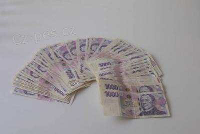 RYCHL A SERIZN FINANN EEN