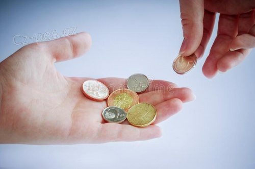 NAB�DKA P�J�KY: YVETACAKOVA@GMAIL.COM