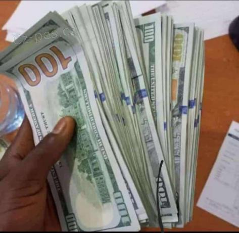 Nal�hav� nab�dka p�j�ky do 24 hodin.