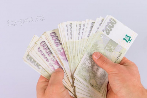 Rychl� p�j�ka poskytnuta