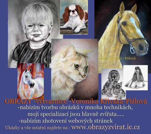 OBR�ZKY PS� a jin�....