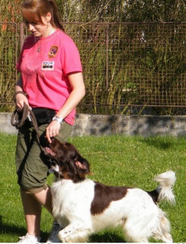 V�cvikov� v�kend Falco u Bezdru�ic (Plze�sk� kraj - St��bro))