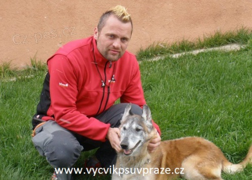 V�chova a v�cvik ps� v Praze