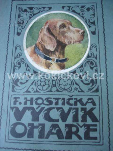 V�CVIK OHA�E HOSTI�KA kniha z roku 1920 