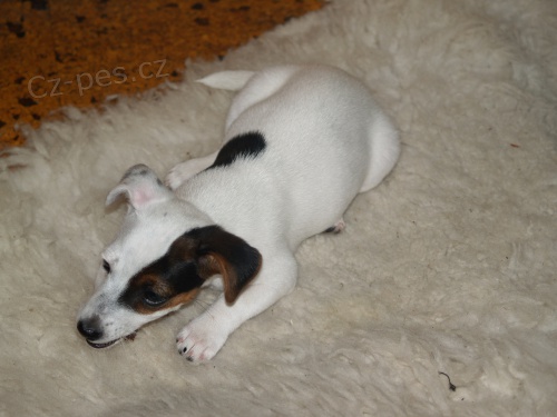 Prod�me �t�n�