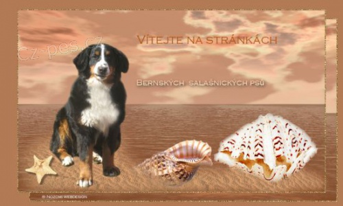 Tvorba www a Origin�ln� grafika