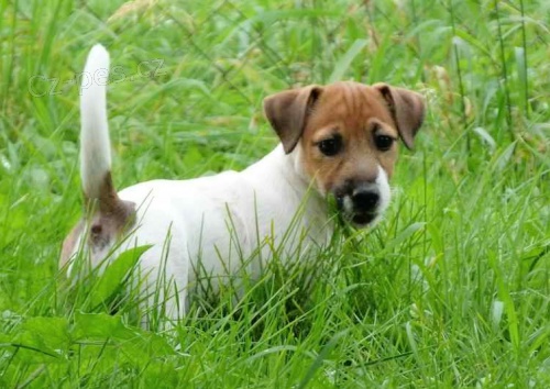 �t���tka JRT s PP !!!