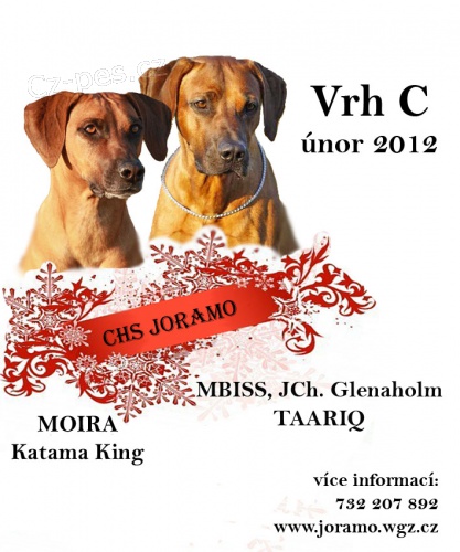 Rhod�sk� ridgeback - �t��ata s PP