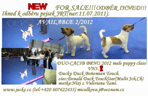 Kr�sn� JRT s PP k odb�ru ihned!!