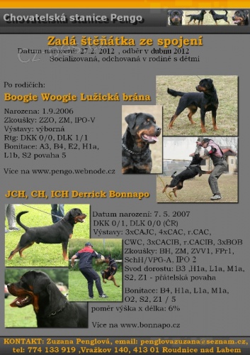 Rotvajler �t��ata s PP