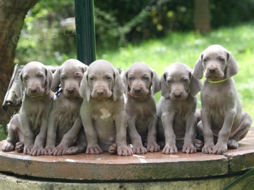 �t���tka V�MARSK�HO OHA�E